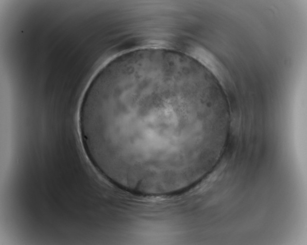 X0000092221283200709141037