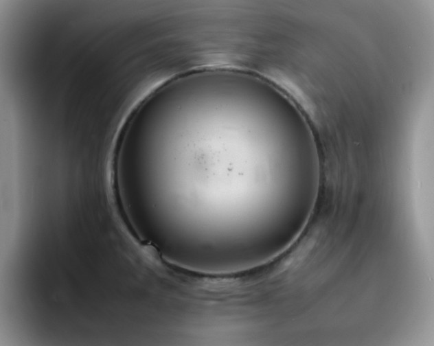 X0000092221285200709141037