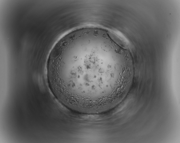 X0000092221287200709141037