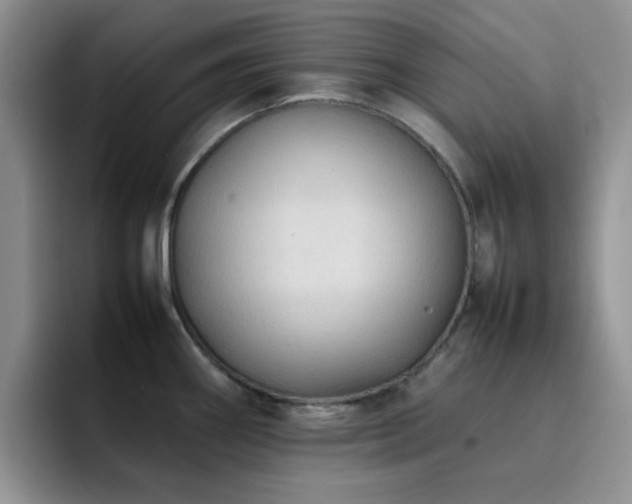 X0000092221290200709141037