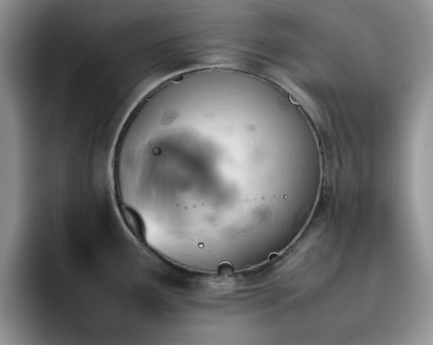 X0000092221291200709141037
