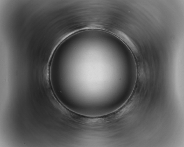X0000092221292200709141037