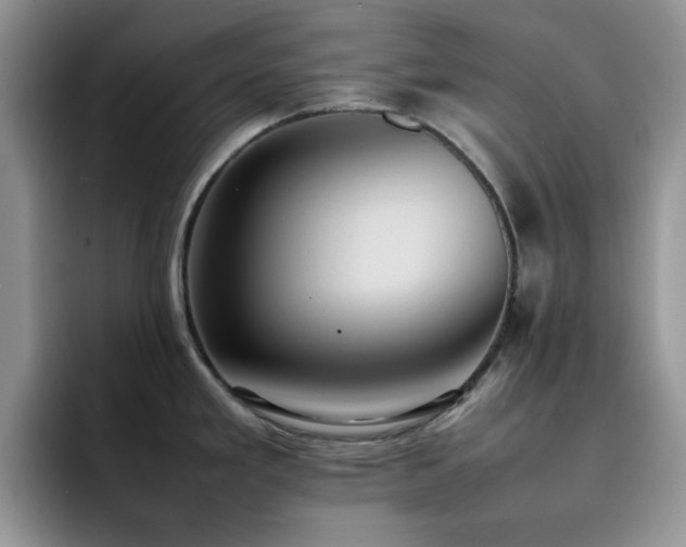 X0000092221293200709141037