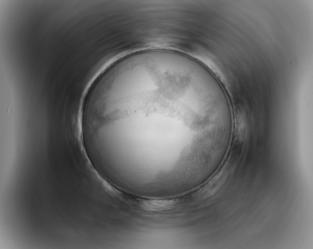X0000092221294200709141037