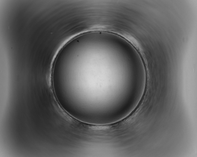 X0000092221296200709141037