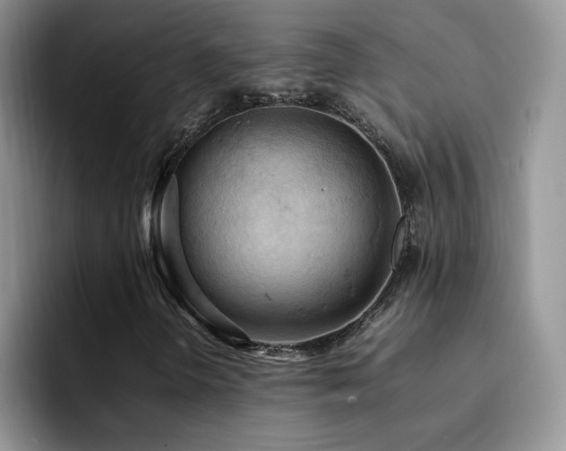X0000092221298200709141037