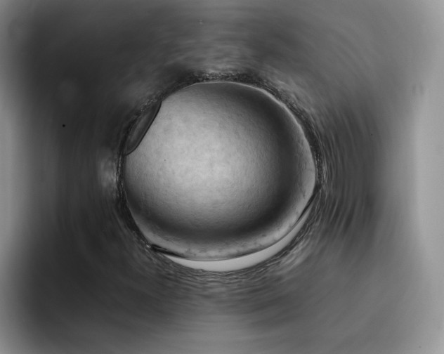 X0000092221300200709141037