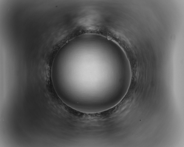X0000092221301200709141037