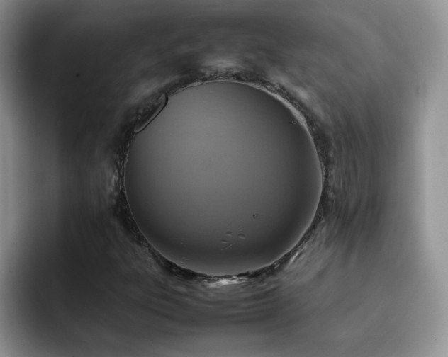 X0000092221303200709141037