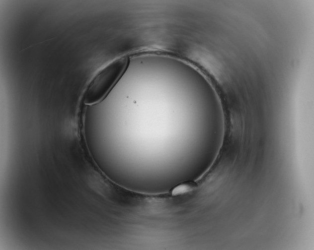 X0000092221308200709141037