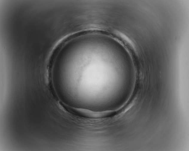 X0000092221310200709141037