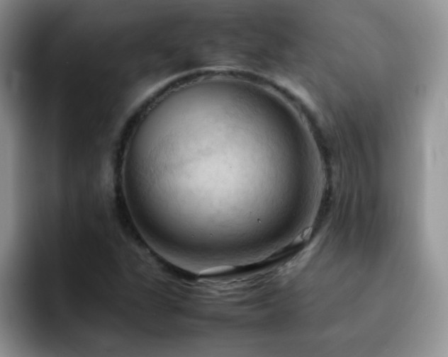 X0000092221311200709141037