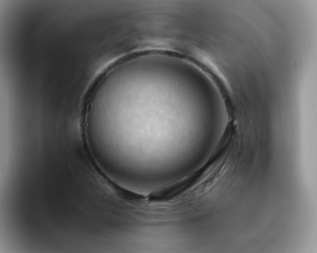 X0000092221312200709141037