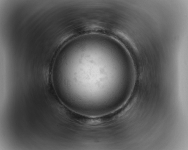 X0000092221313200709141037