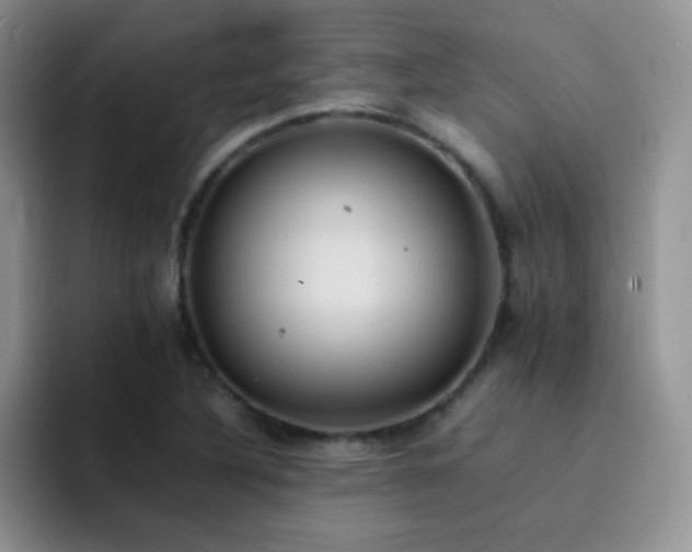 X0000092221316200709141037
