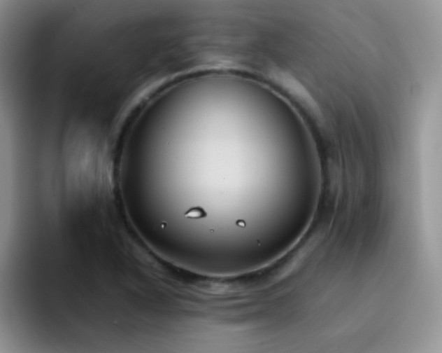 X0000092221318200709141037