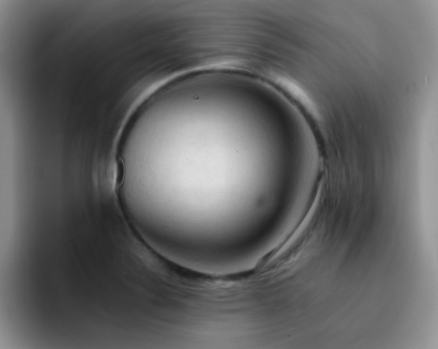 X0000092221324200709141037