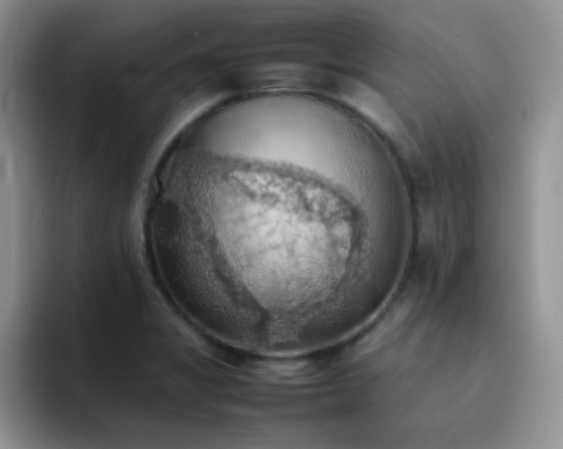 X0000092221325200709141037