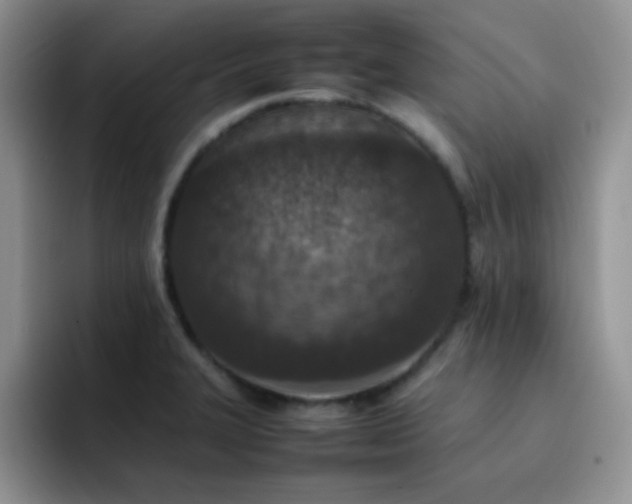 X0000092221327200709141037