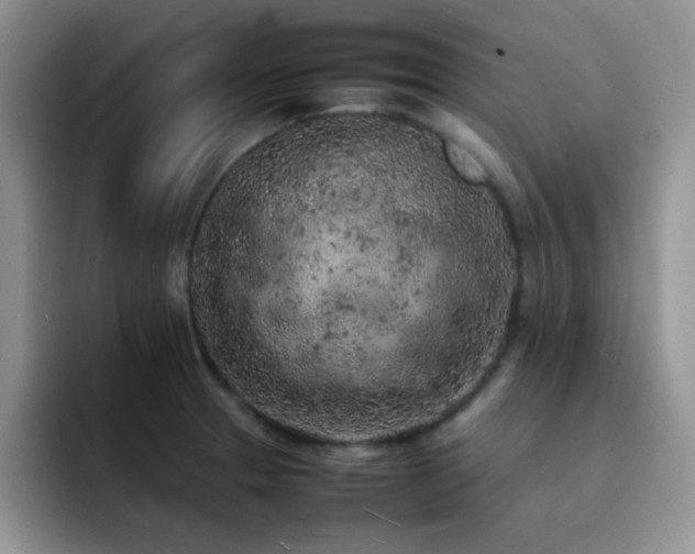 X0000092221329200709141037