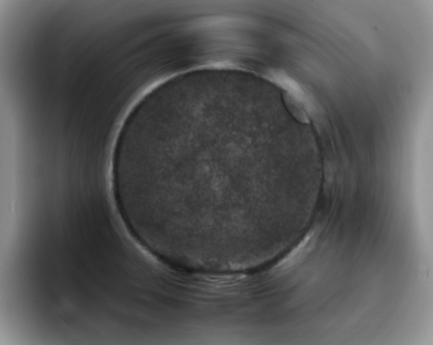 X0000092221331200709141037
