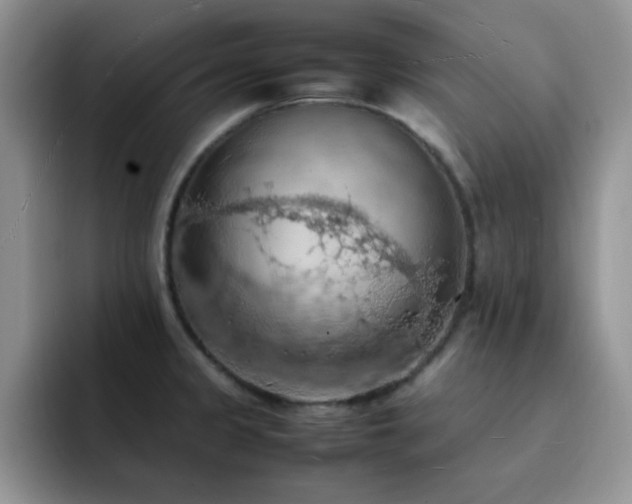 X0000092221333200709141037