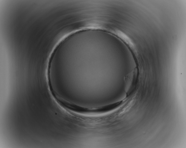 X0000092221334200709141037