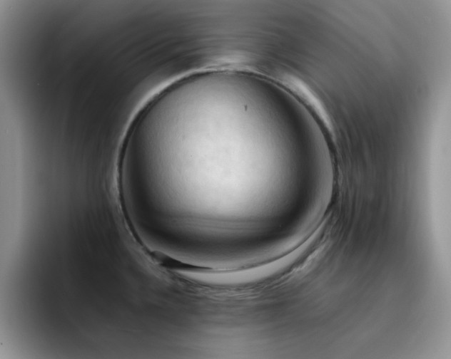 X0000092221336200709141037
