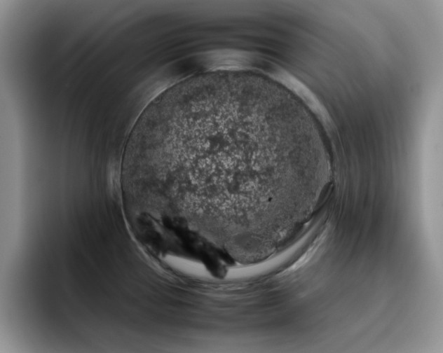 X0000092221337200709141037