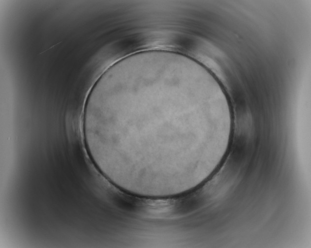 X0000092221338200709141037