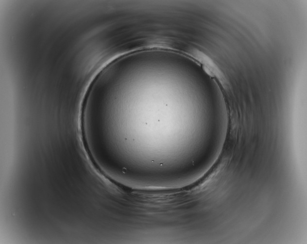 X0000092221339200709141037