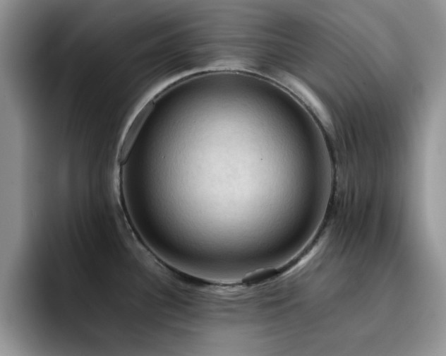 X0000092221340200709141037