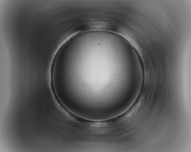 X0000092221341200709141037