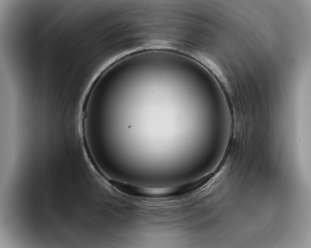 X0000092221342200709141037