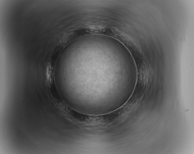 X0000092221346200709141037