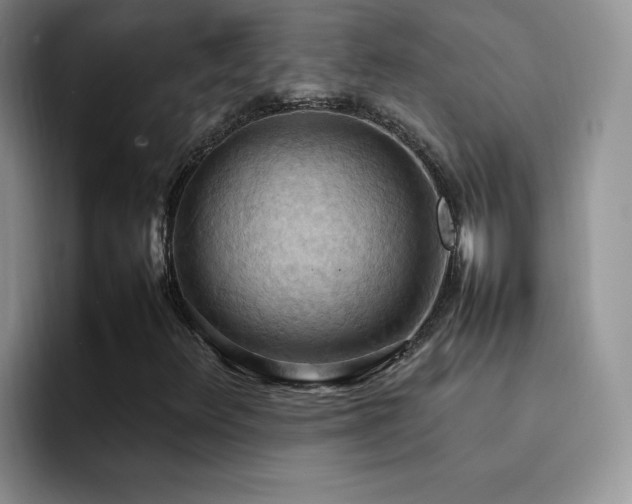 X0000092221348200709141037