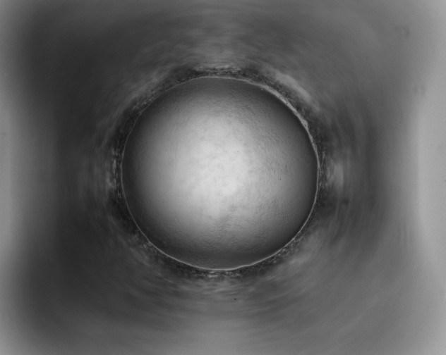 X0000092221350200709141037