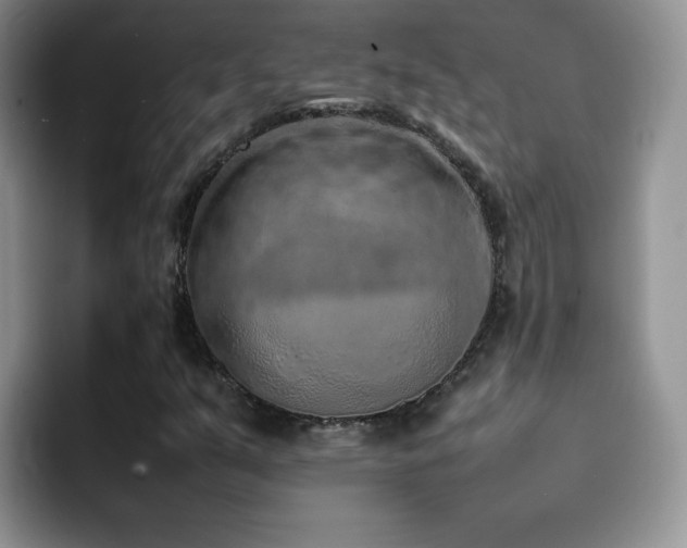 X0000092221351200709141037