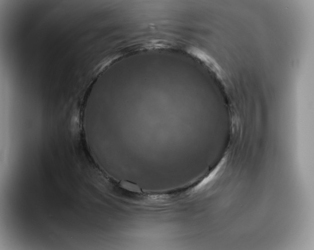 X0000092221353200709141037