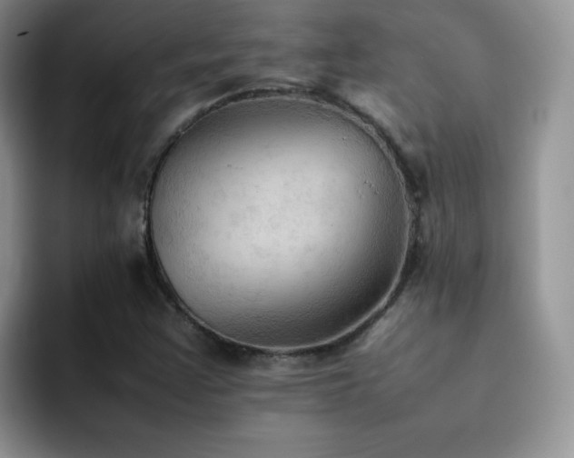 X0000092221355200709141037