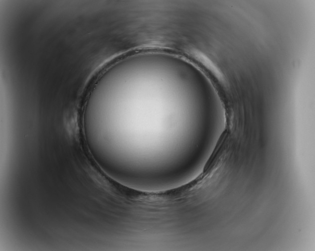 X0000092221356200709141037