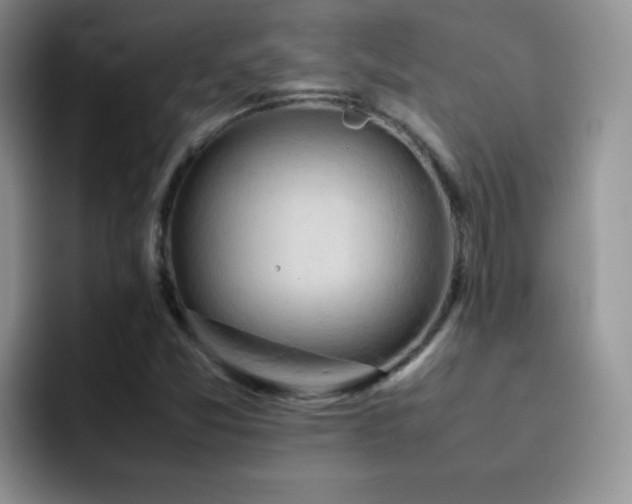 X0000092221357200709141037