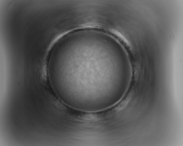 X0000092221358200709141037