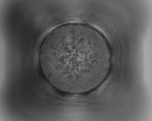 X0000092221359200709141037