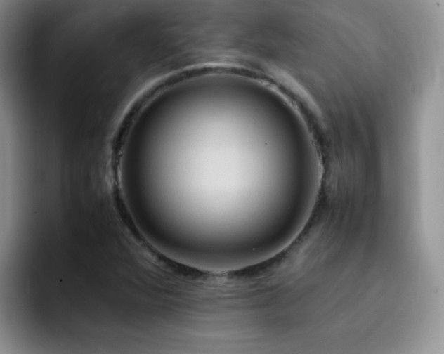 X0000092221360200709141037