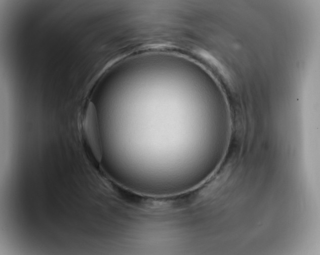 X0000092221361200709141037