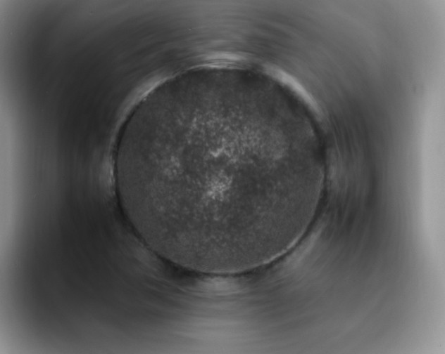 X0000092221362200709141036