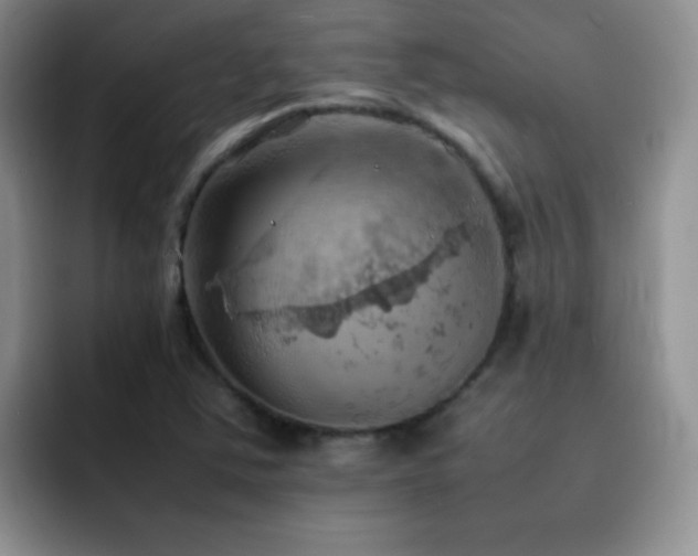X0000092221363200709141036