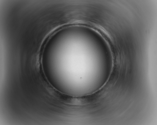 X0000092221364200709141036