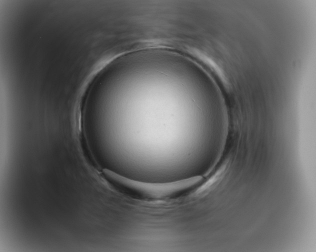 X0000092221365200709141036